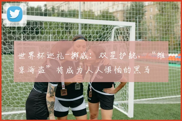 世界杯巡礼-挪威：双星护航，“维京海盗”将成为人人惧怕的黑马