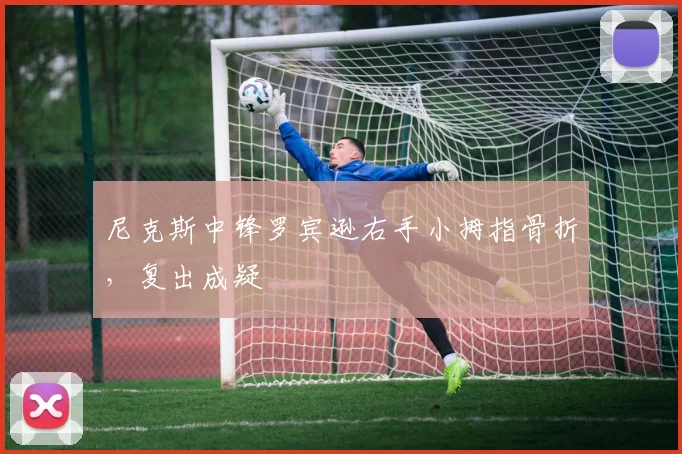 尼克斯中锋罗宾逊右手小拇指骨折，复出成疑