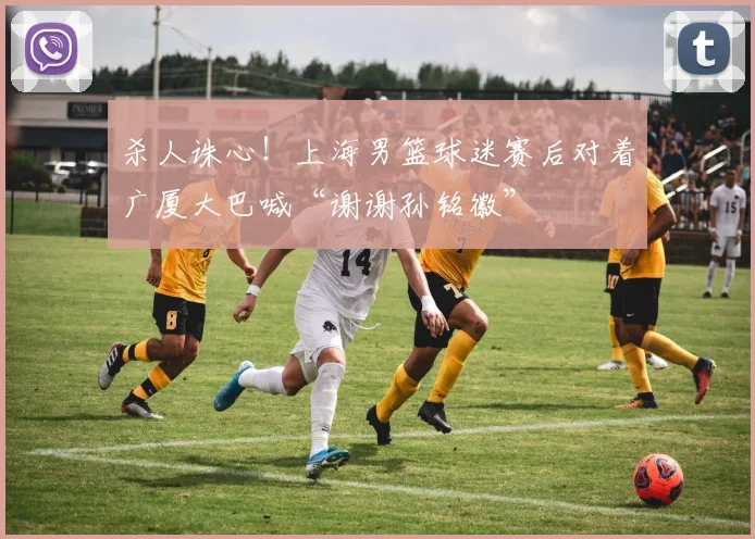 杀人诛心！上海男篮球迷赛后对着广厦大巴喊“谢谢孙铭徽”