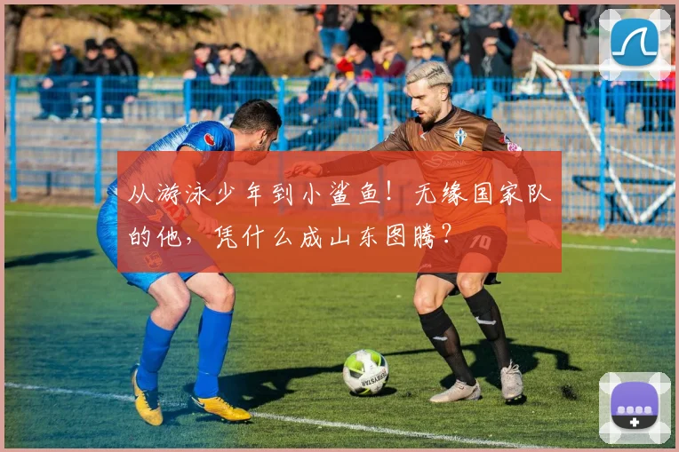 从游泳少年到小鲨鱼！无缘国家队的他，凭什么成山东图腾？