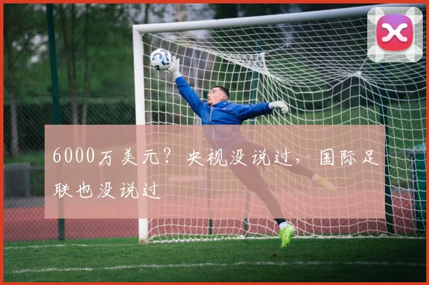 6000万美元？央视没说过，国际足联也没说过