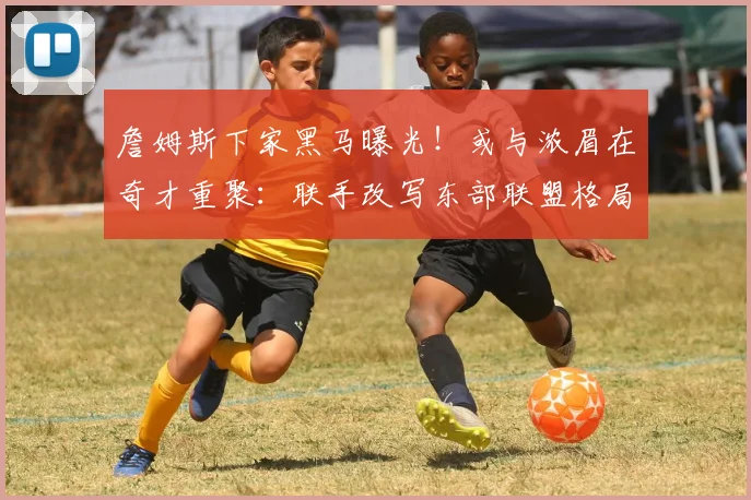 詹姆斯下家黑马曝光！或与浓眉在奇才重聚：联手改写东部联盟格局_1
